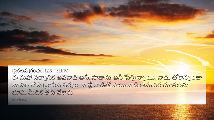 ప్రకటన గ్రంథం 12:9 TELIRV Bible Verse Image