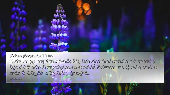 ప్రకటన గ్రంథం 15:4 TELIRV Bible Verse Image