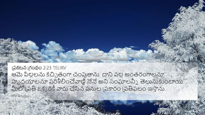ప్రకటన గ్రంథం 2:23 TELIRV Bible Verse Image