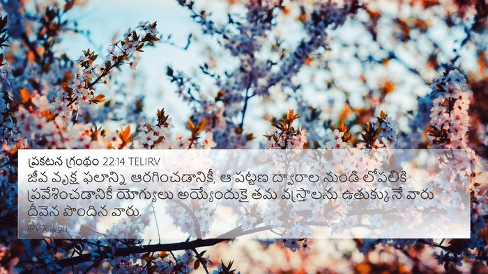 ప్రకటన గ్రంథం 22:14 TELIRV Bible Verse Image