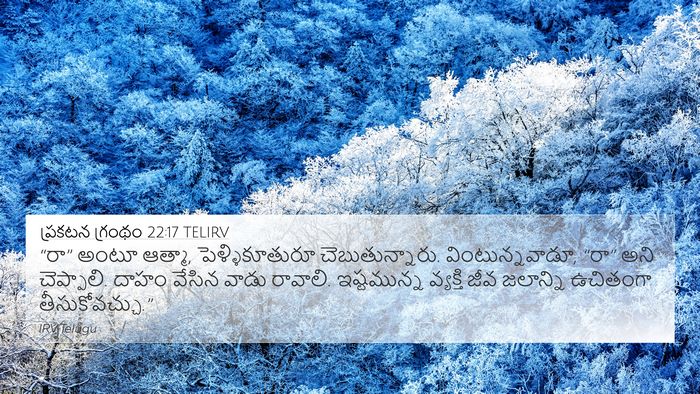 ప్రకటన గ్రంథం 22:17 TELIRV Bible Verse Image