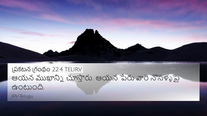 ప్రకటన గ్రంథం 22:4 TELIRV Bible Verse Image