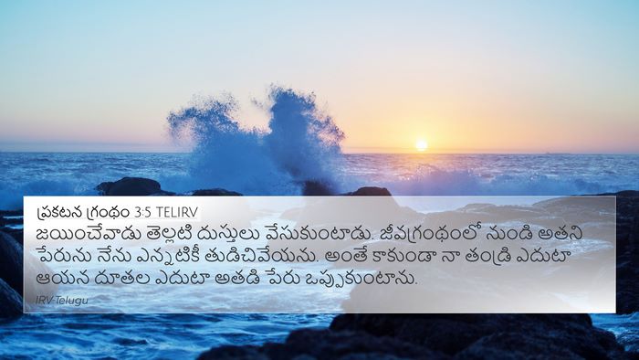 ప్రకటన గ్రంథం 3:5 TELIRV Bible Verse Image