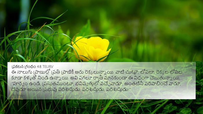 ప్రకటన గ్రంథం 4:8 TELIRV Bible Verse Image
