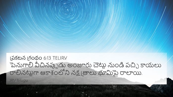 ప్రకటన గ్రంథం 6:13 TELIRV Bible Verse Image