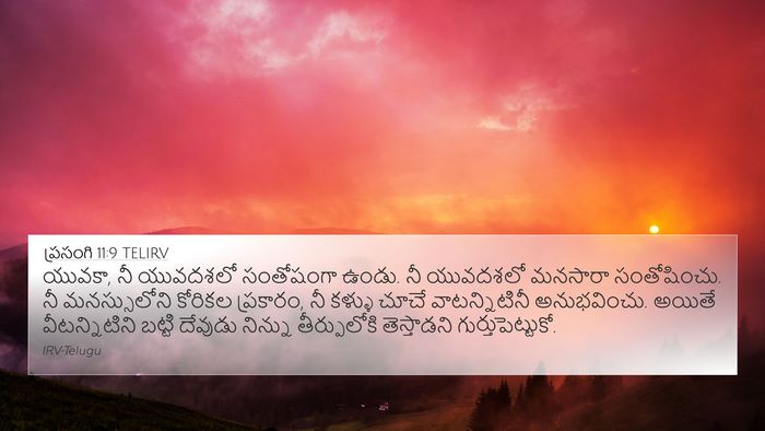 ప్రసంగి 11:9 TELIRV Bible Verse Image