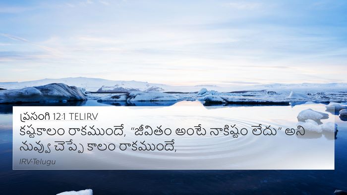 ప్రసంగి 12:1 TELIRV Bible Verse Image