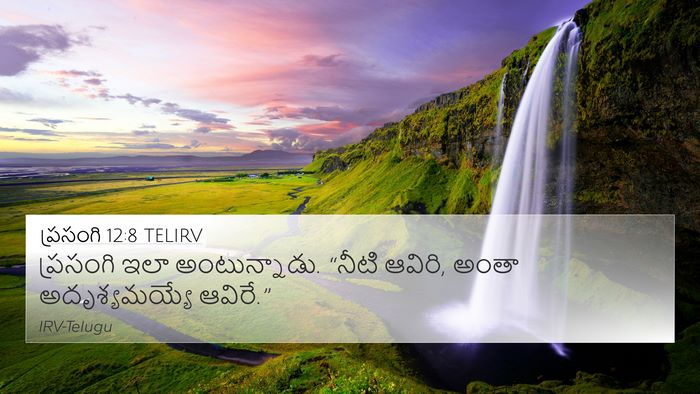 ప్రసంగి 12:8 TELIRV Bible Verse Image