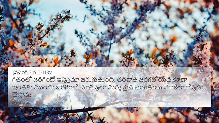 ప్రసంగి 3:15 TELIRV Bible Verse Image