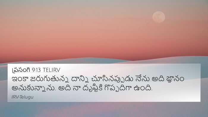 ప్రసంగి 9:13 TELIRV Bible Verse Image