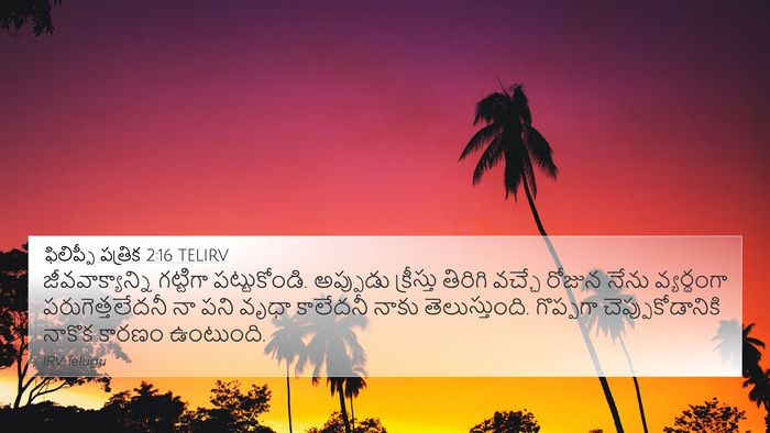 ఫిలిప్పీ పత్రిక 2:16 TELIRV Bible Verse Image