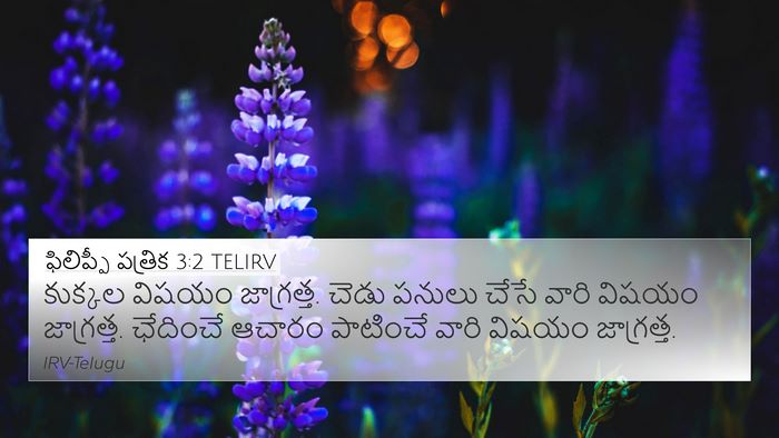 ఫిలిప్పీ పత్రిక 3:2 TELIRV Bible Verse Image