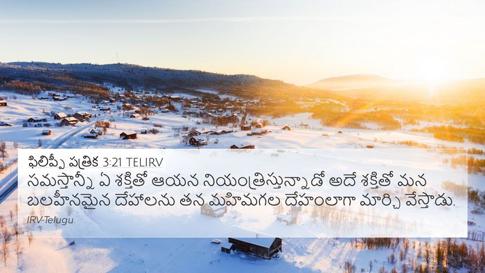 ఫిలిప్పీ పత్రిక 3:21 TELIRV Bible Verse Image