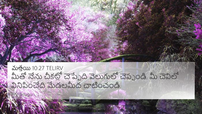మత్తయి 10:27 TELIRV Bible Verse Image