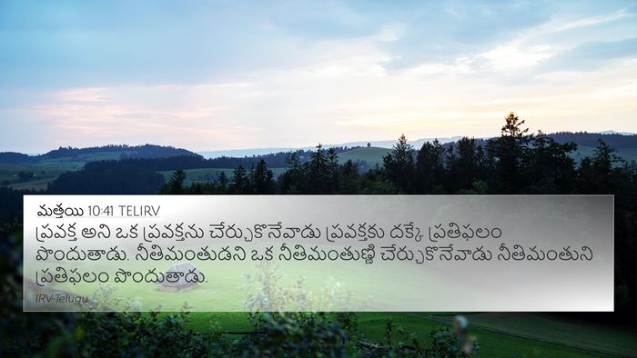 మత్తయి 10:41 TELIRV Bible Verse Image