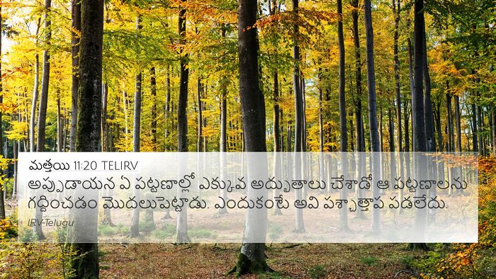 మత్తయి 11:20 TELIRV Bible Verse Image