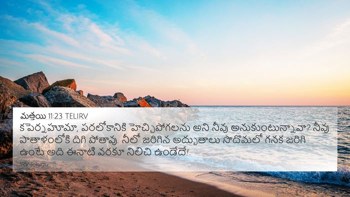 మత్తయి 11:23 TELIRV Bible Verse Image