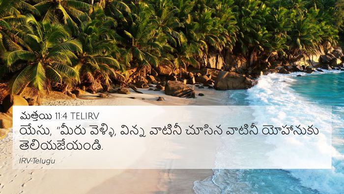 మత్తయి 11:4 TELIRV Bible Verse Image
