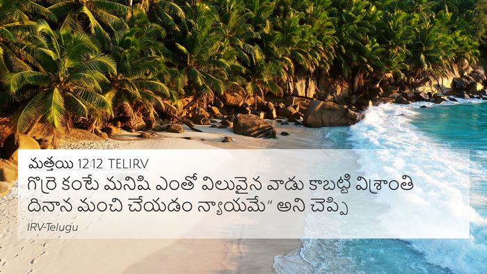 మత్తయి 12:12 TELIRV Bible Verse Image