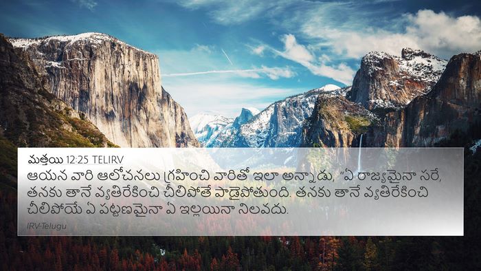 మత్తయి 12:25 TELIRV Bible Verse Image