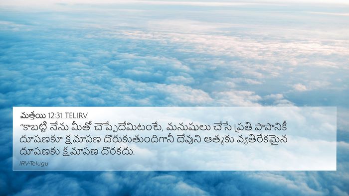 మత్తయి 12:31 TELIRV Bible Verse Image