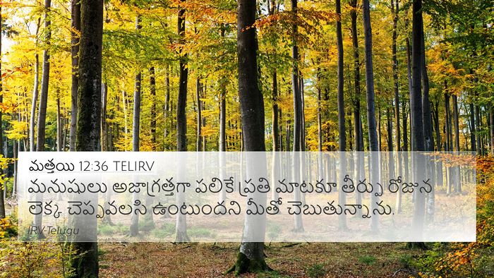 మత్తయి 12:36 TELIRV Bible Verse Image