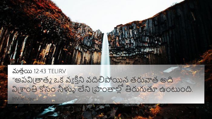 మత్తయి 12:43 TELIRV Bible Verse Image