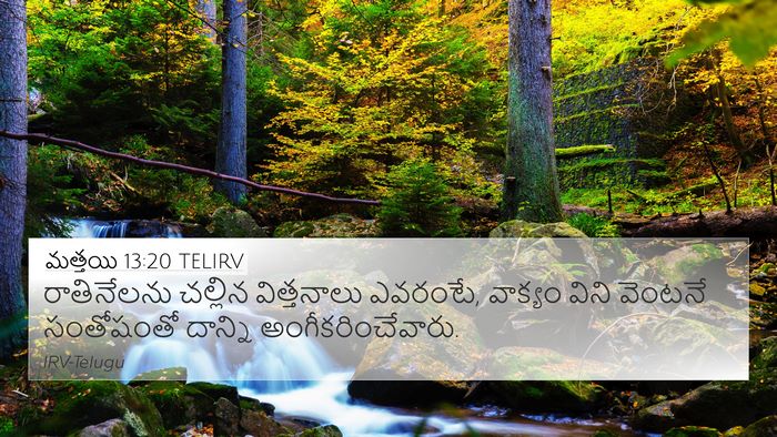 మత్తయి 13:20 TELIRV Bible Verse Image