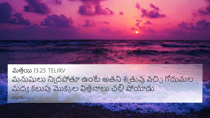 మత్తయి 13:25 TELIRV Bible Verse Image