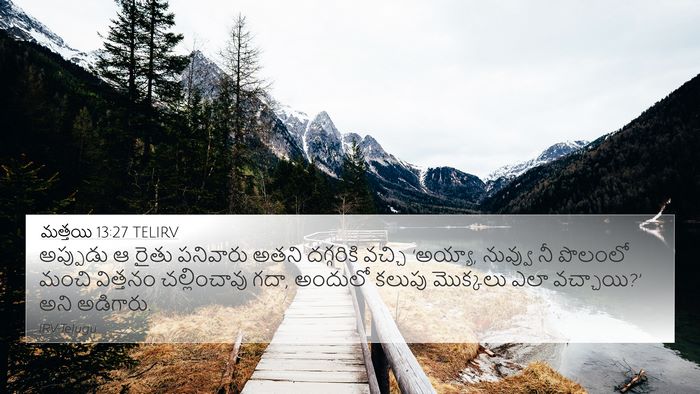 మత్తయి 13:27 TELIRV 4K Wallpaper - అప్పుడు ఆ రైతు - 4K Wallpaper Bible Verse