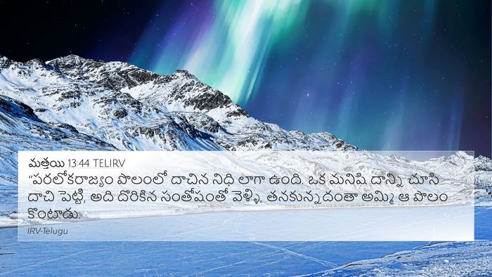 మత్తయి 13:44 TELIRV Bible Verse Image