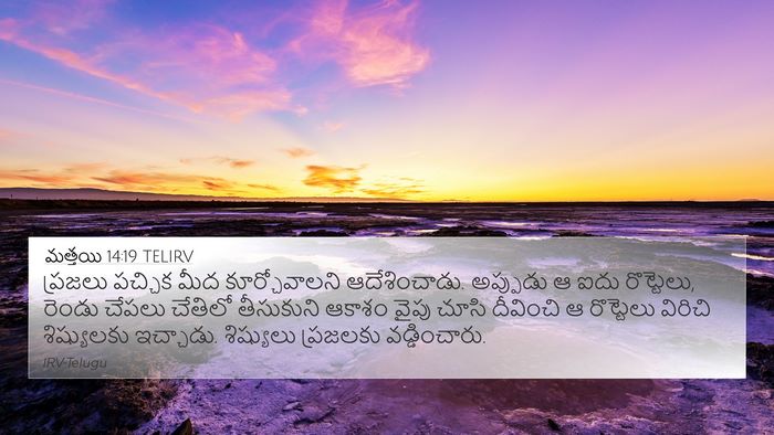 మత్తయి 14:19 TELIRV Bible Verse Image