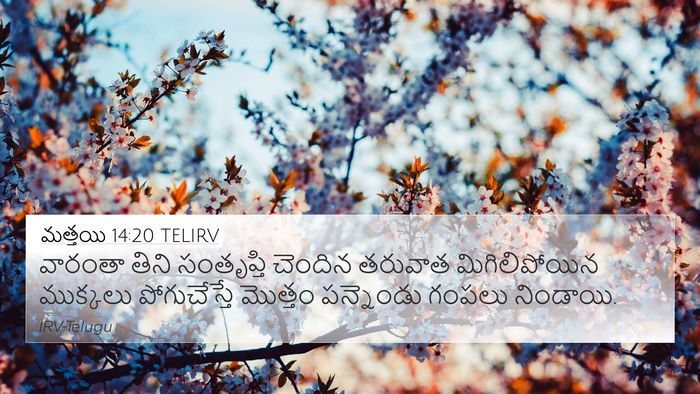 మత్తయి 14:20 TELIRV Bible Verse Image