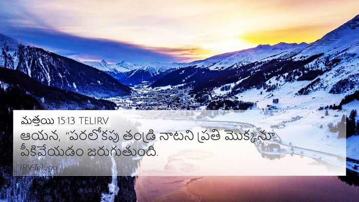 మత్తయి 15:13 TELIRV Bible Verse Image