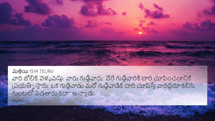 మత్తయి 15:14 TELIRV Bible Verse Image