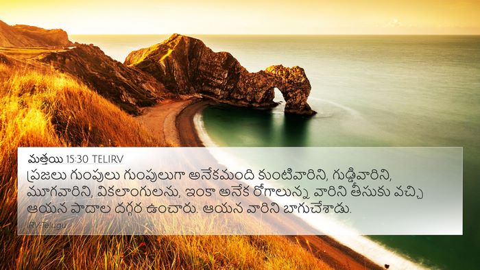 మత్తయి 15:30 TELIRV Bible Verse Image