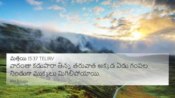 మత్తయి 15:37 TELIRV Bible Verse Image