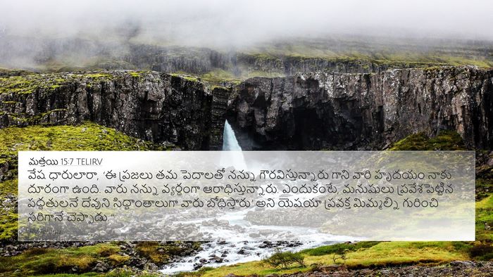 మత్తయి 15:7 TELIRV Bible Verse Image