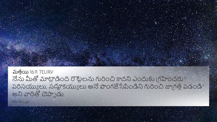 మత్తయి 16:11 TELIRV Bible Verse Image