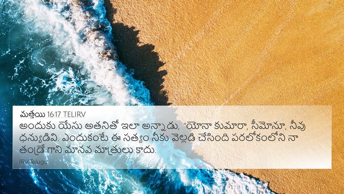 మత్తయి 16:17 TELIRV Bible Verse Image