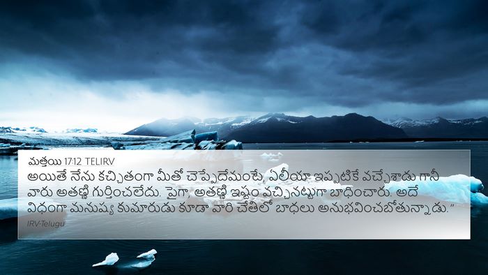 మత్తయి 17:12 TELIRV Bible Verse Image