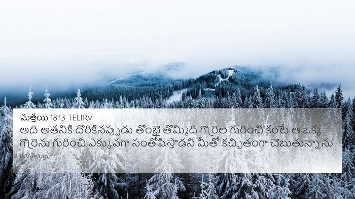 మత్తయి 18:13 TELIRV Bible Verse Image