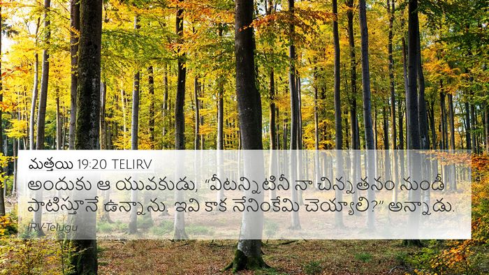 మత్తయి 19:20 TELIRV Bible Verse Image