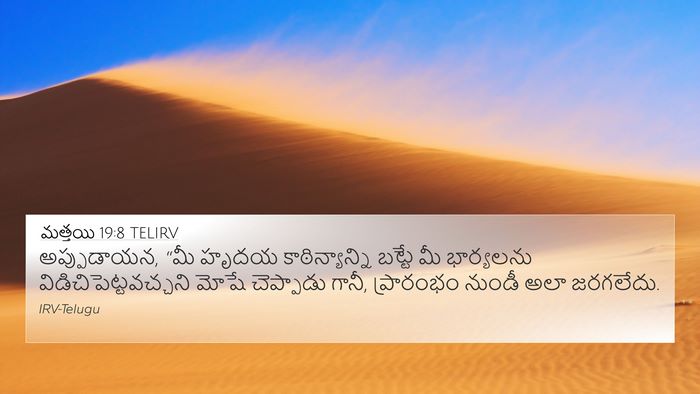 మత్తయి 19:8 TELIRV Bible Verse Image