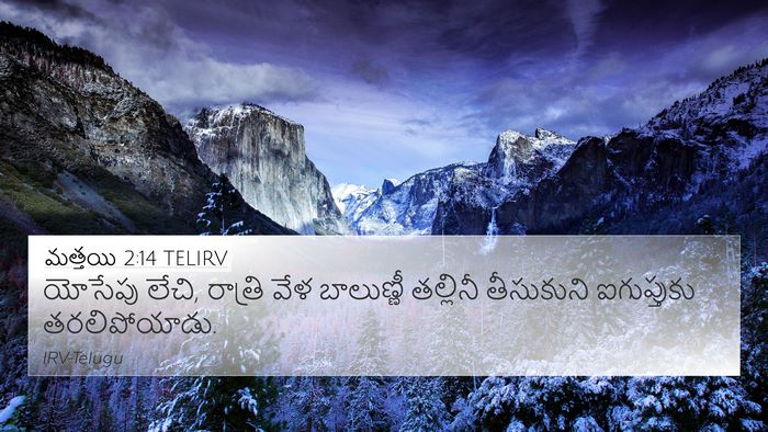 మత్తయి 2:14 TELIRV 4K Wallpaper - యోసేపు లేచి, - 4K Wallpaper Bible Verse