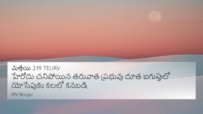 మత్తయి 2:19 TELIRV Bible Verse Image