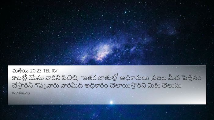 మత్తయి 20:25 TELIRV Bible Verse Image