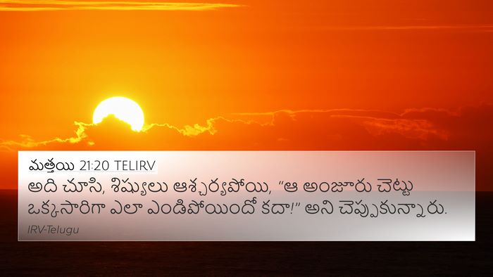 మత్తయి 21:20 TELIRV 4K Wallpaper - అది చూసి, శిష్యులు - 4K Wallpaper Bible Verse