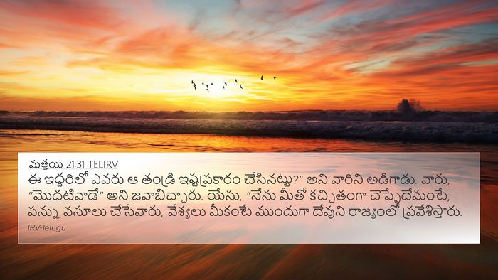 మత్తయి 21:31 TELIRV Bible Verse Image