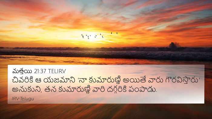 మత్తయి 21:37 TELIRV Bible Verse Image